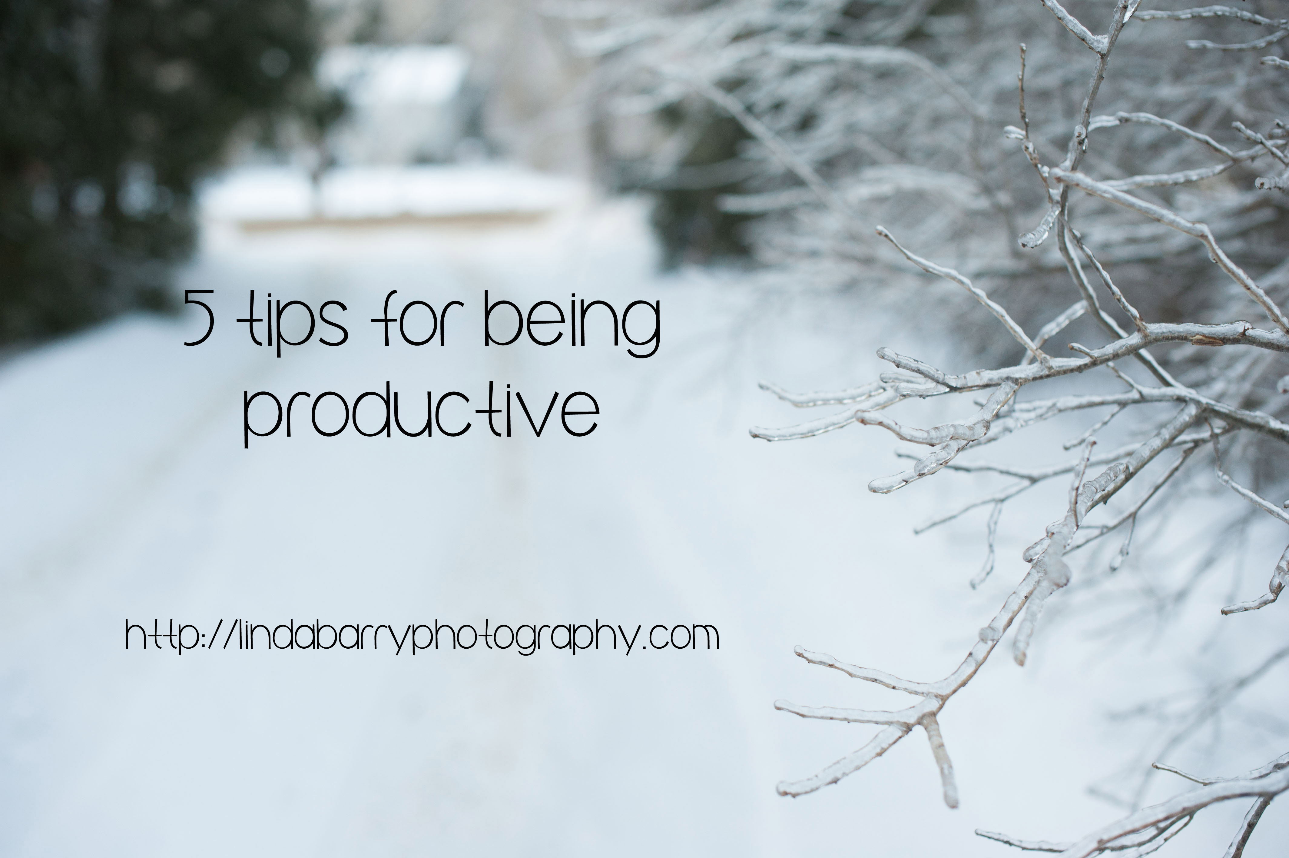 5 tips for being productive, productive, portland maine