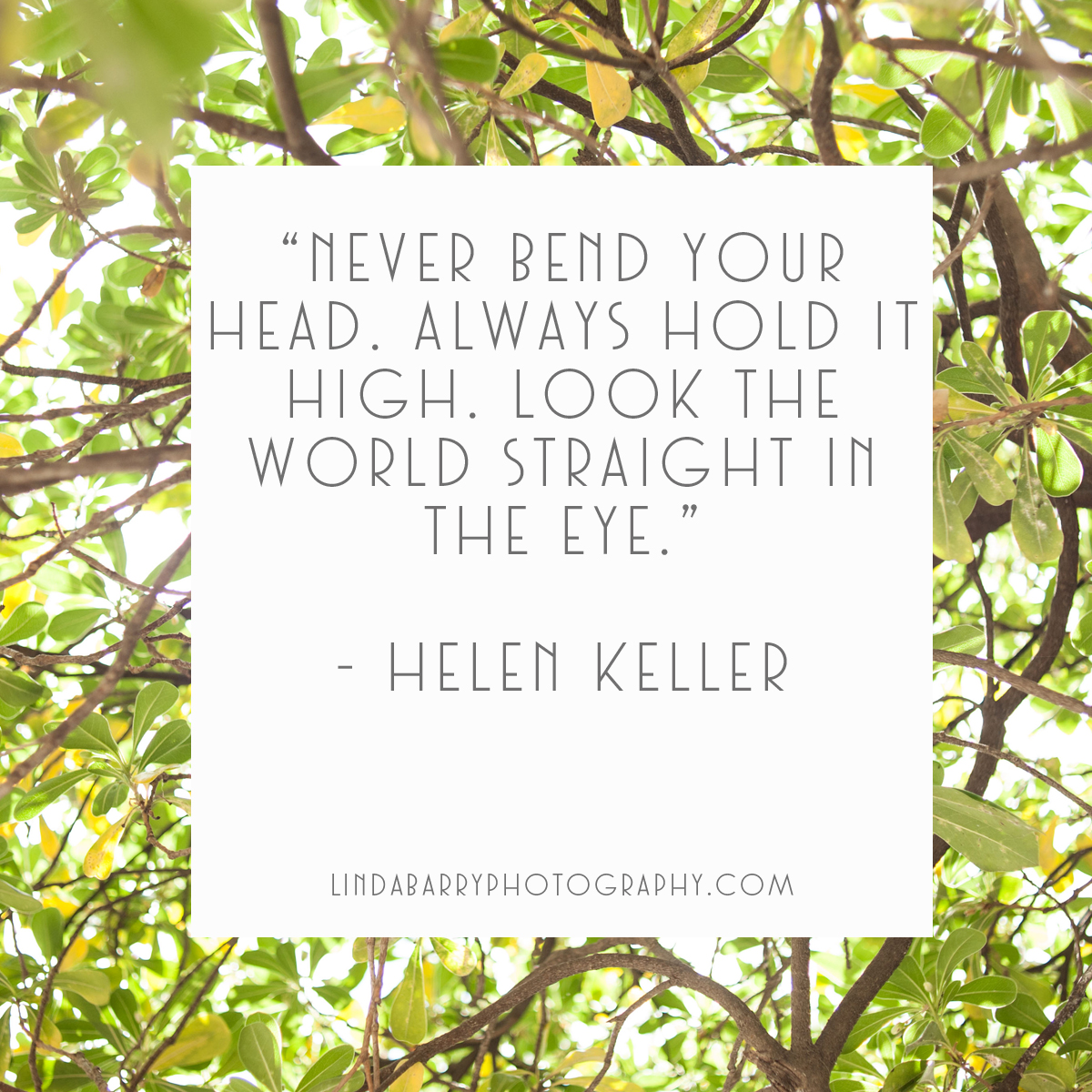 "Never bend your head. Always hold it high. Look the world straight in the eye." Hellen Keller inspirational quote.