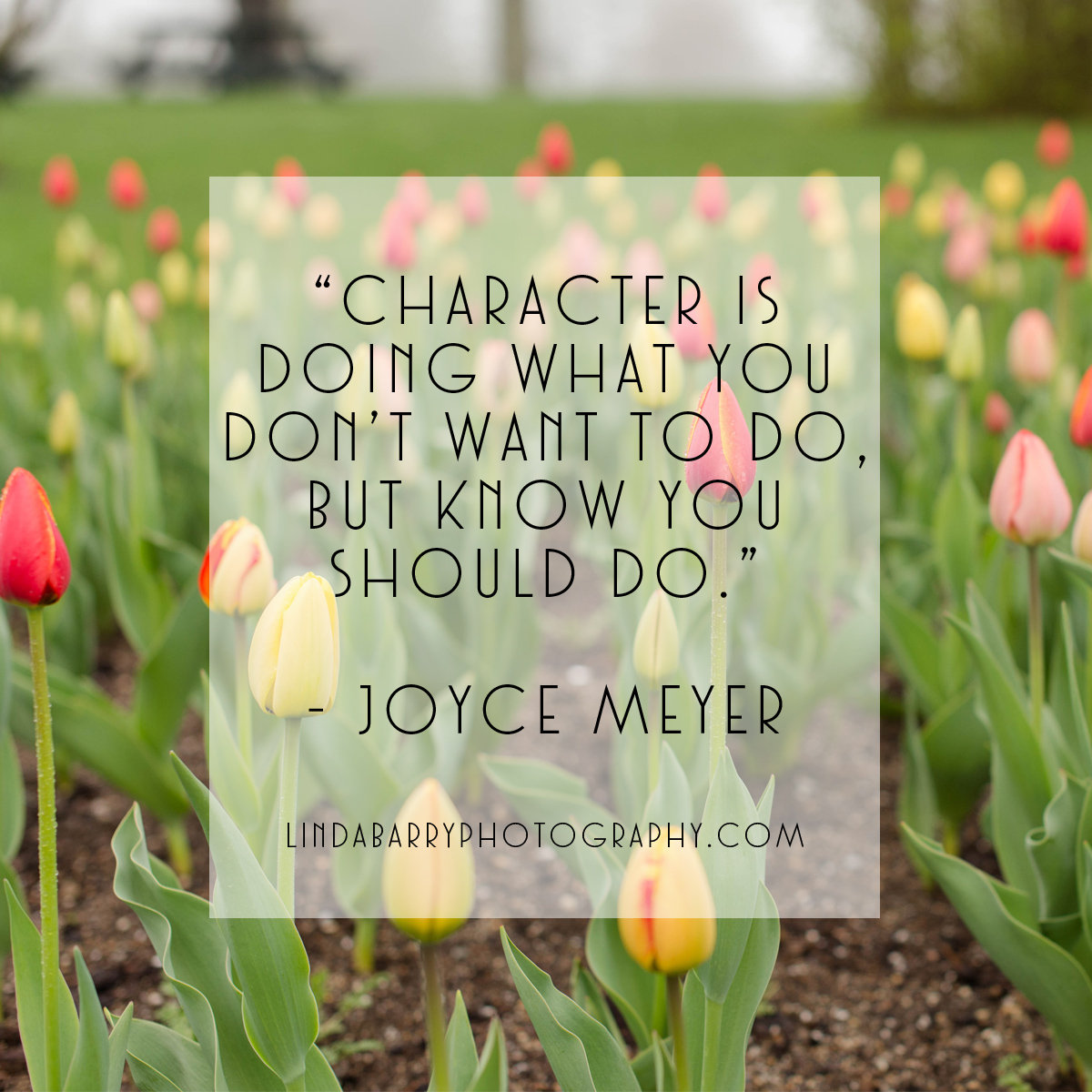 Character is doing what you don't want to do, but know you should do. Inspirational quote by Joyce Meyer.