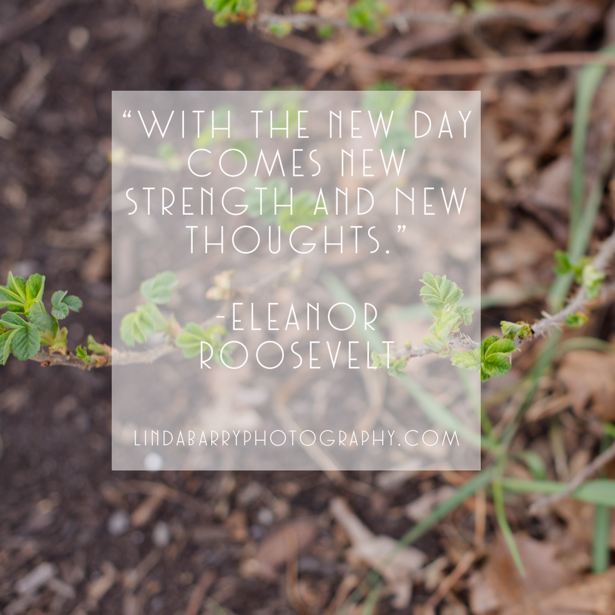 With the new day comes new strength and new thoughts. Inspirational quote by Eleanor Roosevelt.